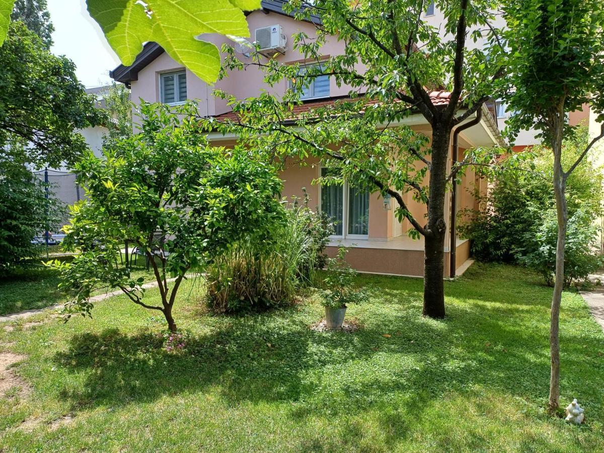 Villa Tamara With Garden And River View - Free Private Parking - Garage โมสตาร์ ภายนอก รูปภาพ